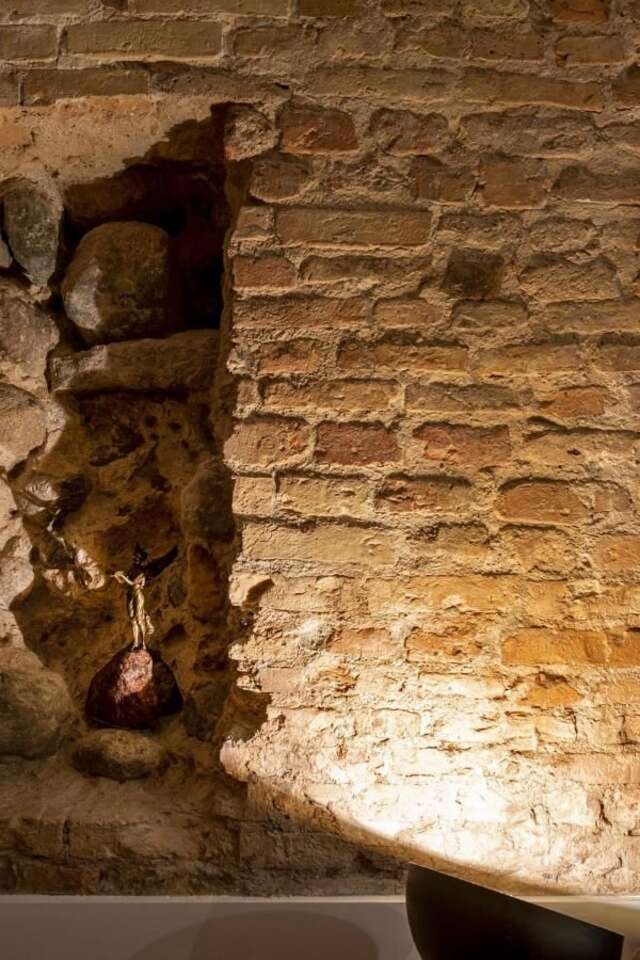 Апартаменты Luxury apartment in the heart of Vilnius Вильнюс-11